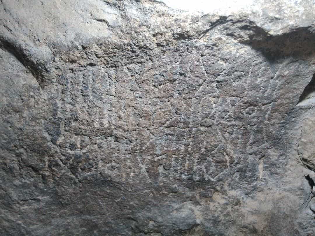 الشرعي الذراع 1